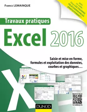 Couverture du produit · Travaux pratiques avec Excel 2016 - Saisie et mise en forme, formules et exploitation des données...: Saisie et mise en forme,
