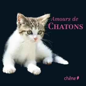 Couverture du produit · Amours de chatons