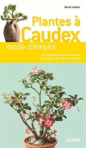 Couverture du produit · Plantes à caudex de A à Z