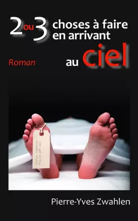 Couverture du produit · 2 ou 3 choses à faire en arrivant au ciel !