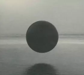 Couverture du produit · Flourish / / Perish