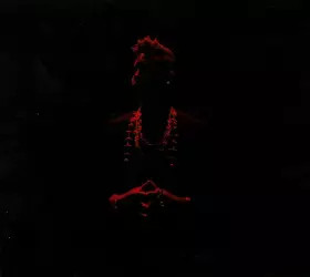 Couverture du produit · Diaspora