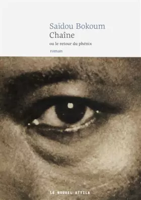 Couverture du produit · Chaîne ou le retour du phénix