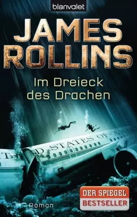 Couverture du produit · Im Dreieck des Drachen: Roman