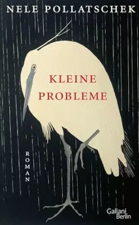 Couverture du produit · Kleine Probleme: Roman