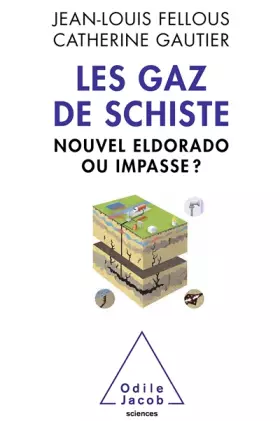 Couverture du produit · Les Gaz de schiste: Nouvel eldorado ou impasse ?