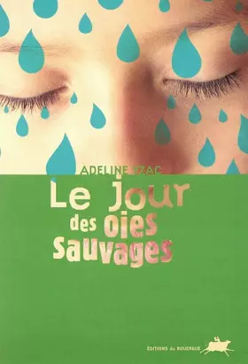 Le Jour des oies sauvages -  Adeline Yzac