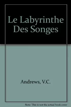 Couverture du produit · Le labyrinthe des songes