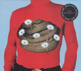 Couverture du produit · Beautiful People Will Ruin Your Life