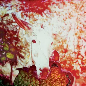 Couverture du produit · If He Dies, If If If If If If