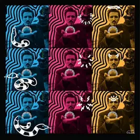 Couverture du produit · Stonedigger