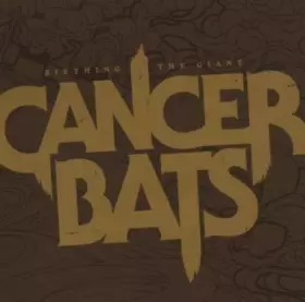 Couverture du produit · Birthing The Giant