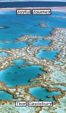 Couverture du produit · Joyful Journey