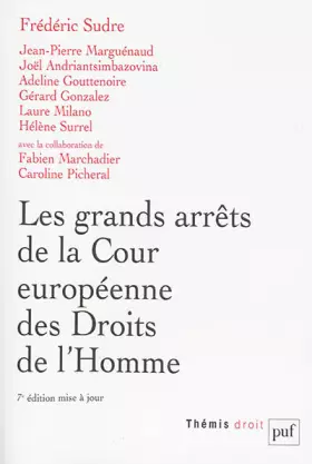 Les grands arrêts de la Cour européenne des droits de l'homme -  Adeline Gouttenoire,  Frédéric Sudre,  Jean-Pierre Marguénaud,  Joël Andriantsimbazovina,  Gérard Gonzalez et  Hélène Surrel