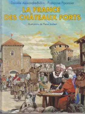 France des Châteaux forts -  Alexandre Bidon Dan