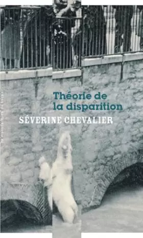 Théorie de la disparition -  Séverine Chevalier