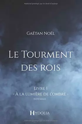 Couverture du produit · Le Tourment des rois: Livre 1 - À la lumière de l'ombre (French Edition)