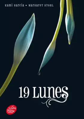 Couverture du produit · 19 lunes