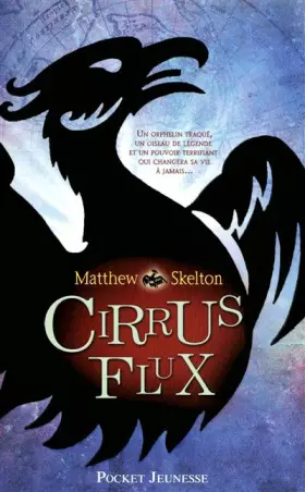 Couverture du produit · Cirrus Flux