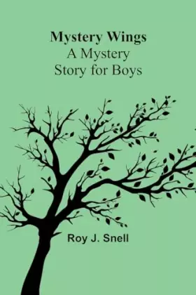 Couverture du produit · Mystery Wings A Mystery Story for Boys