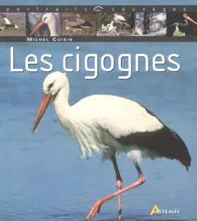 Couverture du produit · Les cigognes