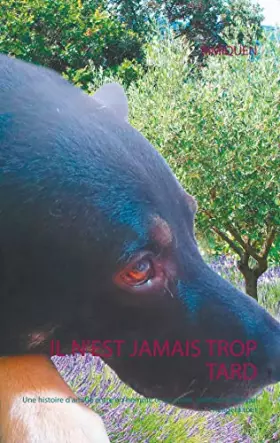 Couverture du produit · Il n'est jamais trop tard: Une histoire d'amitié entre un homme et un chien, une rencontre qui changera tout