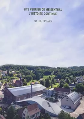 Couverture du produit · Site verrier de Meisenthal l'histoire continue