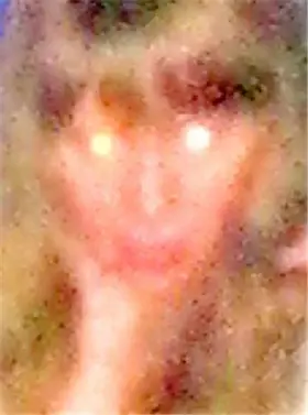 Couverture du produit · Splashes