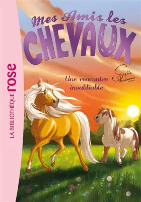 Couverture du produit · Mes amis les chevaux, tome 6 : Une rencontre inoubliable
