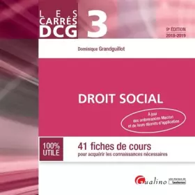 Couverture du produit · Droit social DCG 3: 41 fiches de cours pour acquérir les connaissances nécessaires