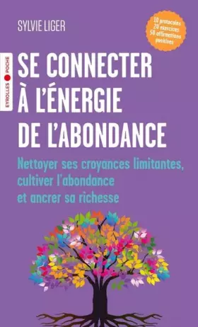 Couverture du produit · Se connecter à l'énergie de l'abondance: Nettoyer ses croyances limitantes, cultiver l'abondance et ancrer sa richesse