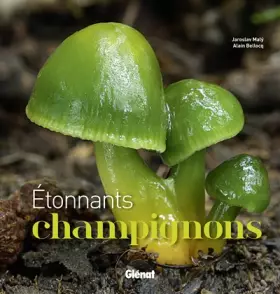 Couverture du produit · Etonnants champignons