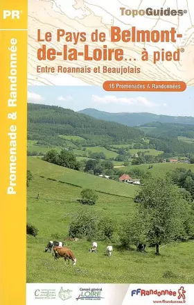 Couverture du produit · BELMONT DE LA LOIRE A PIED 2008 - 42 - PR - P423