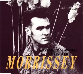 Couverture du produit · November Spawned A Monster