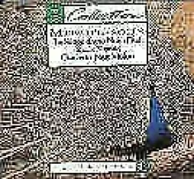 Couverture du produit · Violin Concerto [Import]