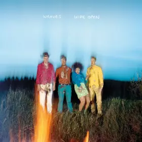 Couverture du produit · Wide Open