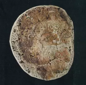 Couverture du produit · Солнце (The Sun)