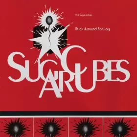 Couverture du produit · Stick Around For Joy