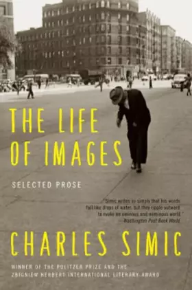 Couverture du produit · The Life of Images: Selected Prose