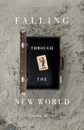Couverture du produit · Falling Through the New World