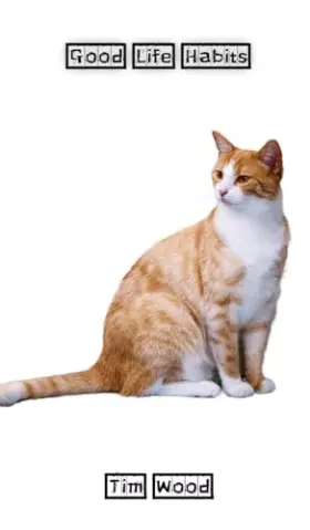 Couverture du produit · Good Life Habits