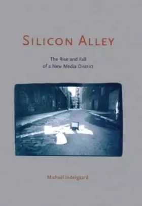 Couverture du produit · Silicon Alley: The Rise and Fall of a New Media District (Cultural Spaces)