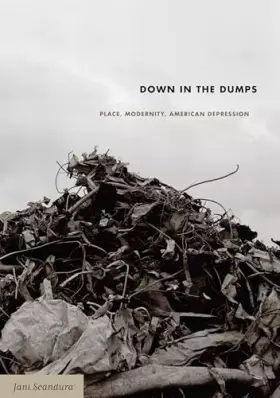 Couverture du produit · Down in the Dumps: Place, Modernity, American Depression