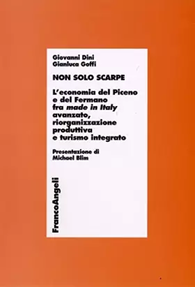 Couverture du produit · Non solo scarpe. L'economia del Piceno e del Fermano fra made in Italy avanzato, riorganizzazione produttiva e turismo integrat