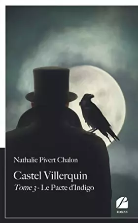 Couverture du produit · Castel Villerquin - Tome 3 Le Pacte d'Indigo
