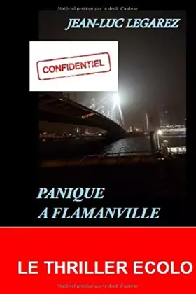 Couverture du produit · PANIQUE A FLAMANVILLE