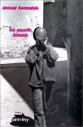 Couverture du produit · Géopolitique et democraties : perspectives sur la fin du xxe siecle