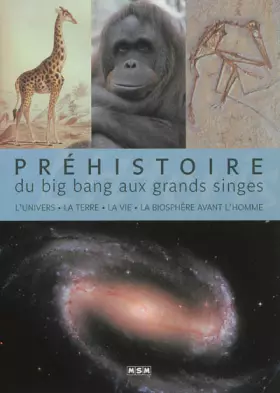 Couverture du produit · Préhistoire : du big bang aux grands singes