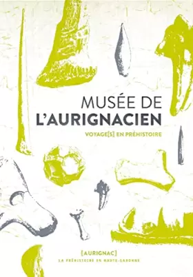 Couverture du produit · Musée de l'Aurignacien: Voyage(s) en préhistoire