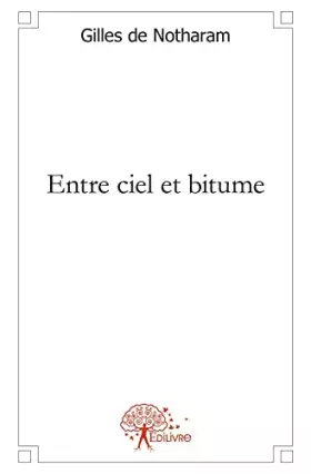 Couverture du produit · Entre ciel et bitume: 42,195 bornes d'un marathon poétique